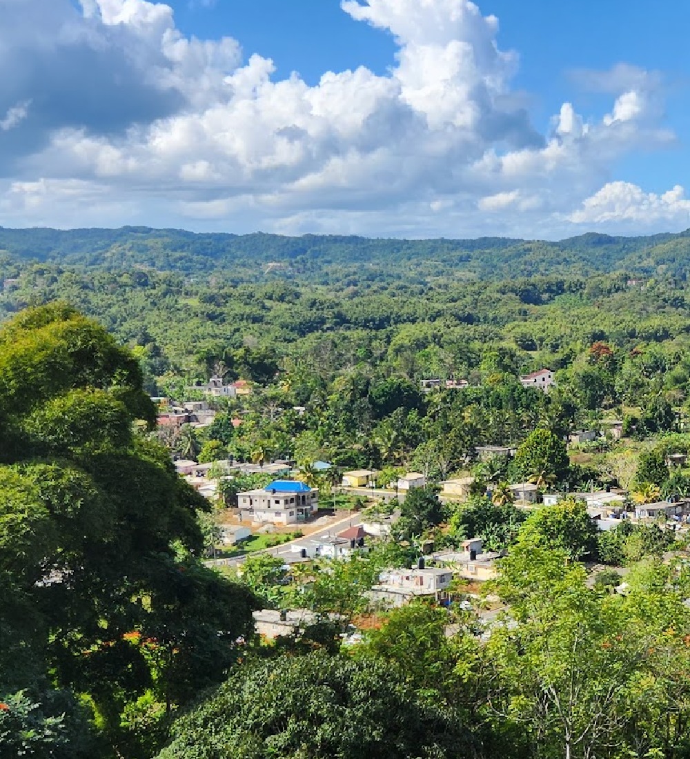 hills
